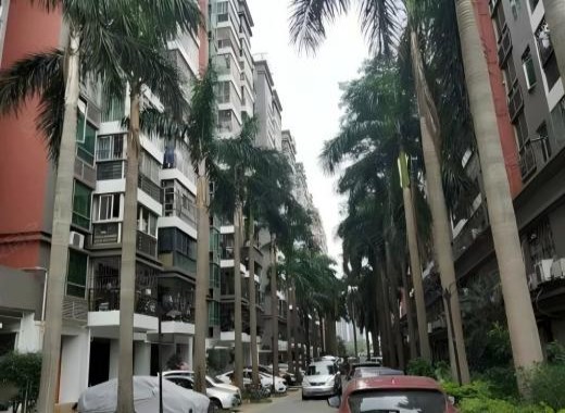 深圳名仕春天项目